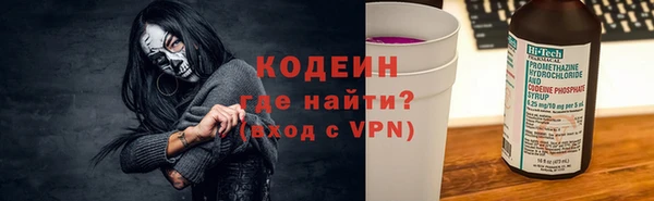 ПСИЛОЦИБИНОВЫЕ ГРИБЫ Арсеньев