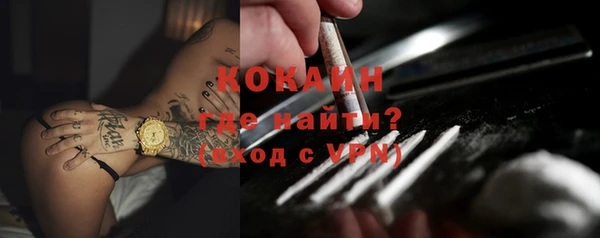 ПСИЛОЦИБИНОВЫЕ ГРИБЫ Арсеньев