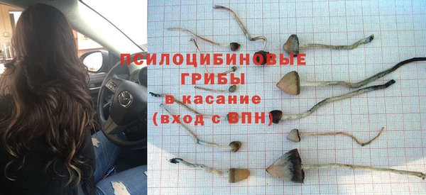 ECSTASY Армянск