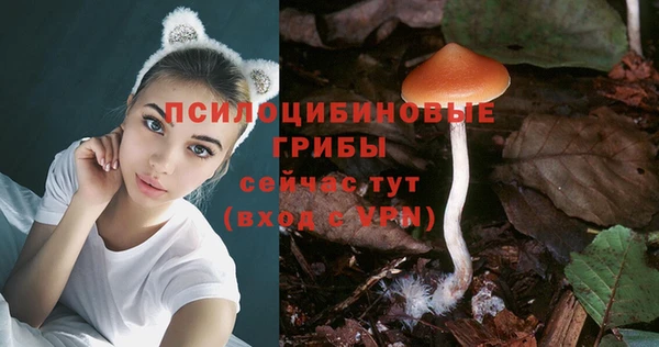 мяу мяу кристалл Баксан