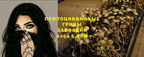 ECSTASY Армянск
