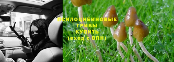 прущие крисы Алзамай