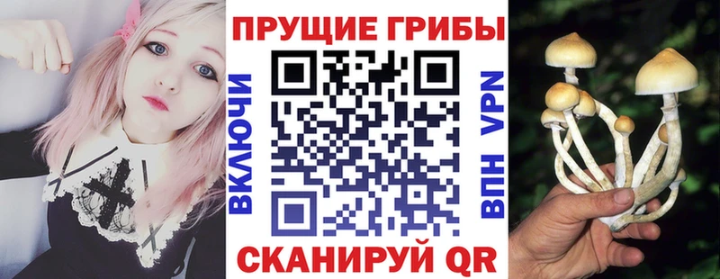 хочу наркоту Лениногорск Псилоцибиновые грибы GOLDEN TEACHER